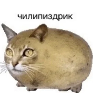 😶