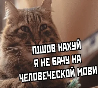 🥵