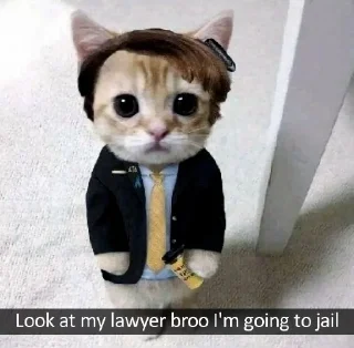 😍