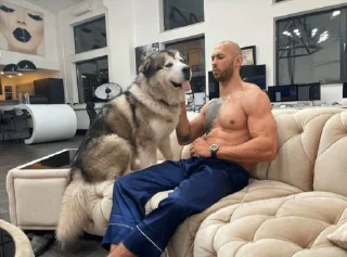 🐶