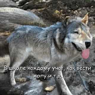 🏫