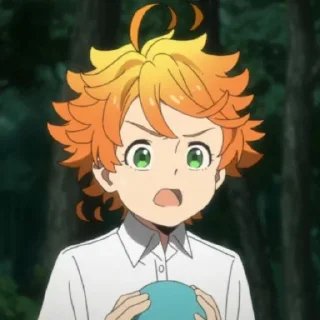 ✨