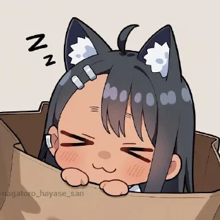 😴