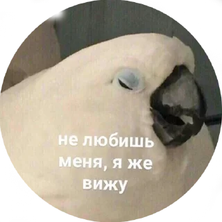 😩