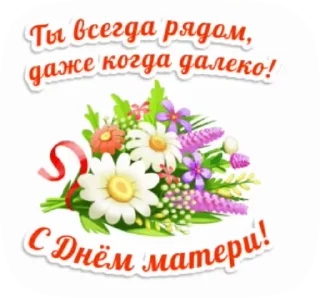 🌺