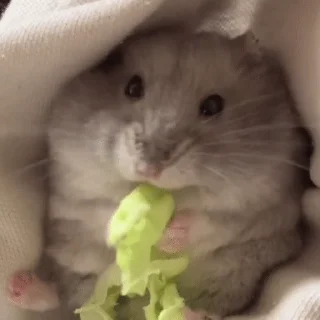 😋