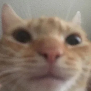 😐