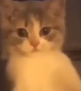 🤨
