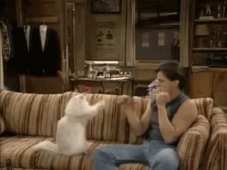 🛋