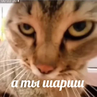 😎