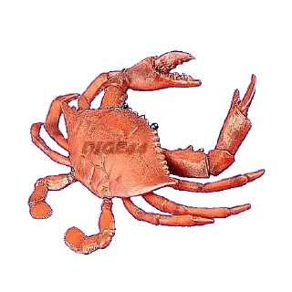 🦀