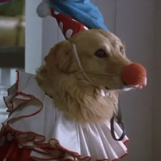 🤡