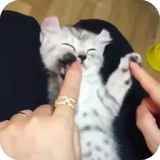 😆