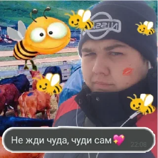 🐝