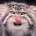 😛