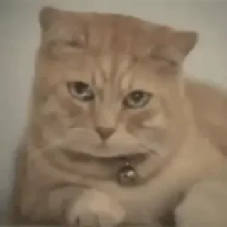 😢