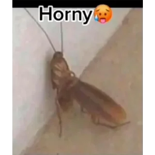 🥵