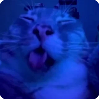 🌀