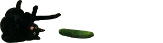 🍆
