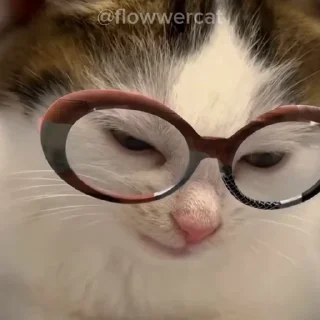 🤓