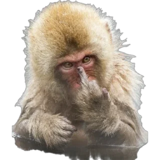 🖕