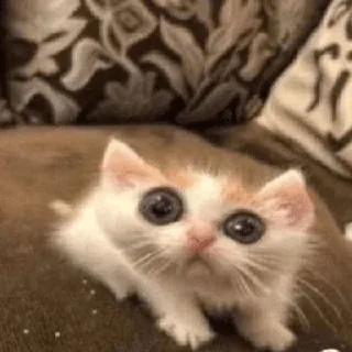 😵