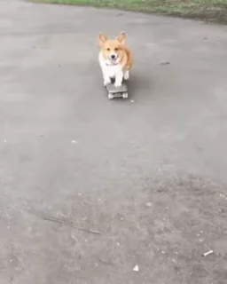 🙂