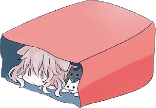 😴