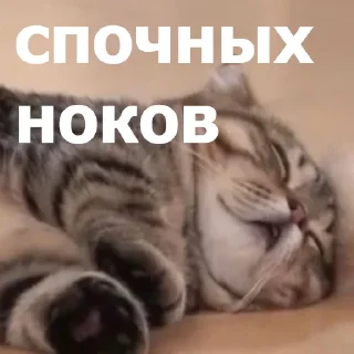 😴