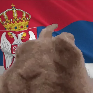 🇷🇸