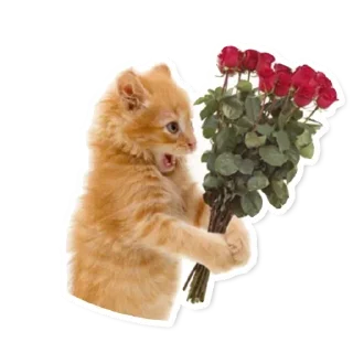 🌹