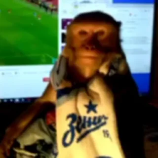 ⚽️