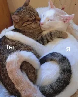 🔫
