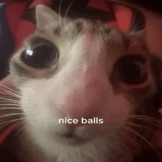 😍
