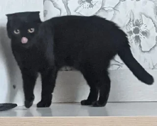😋