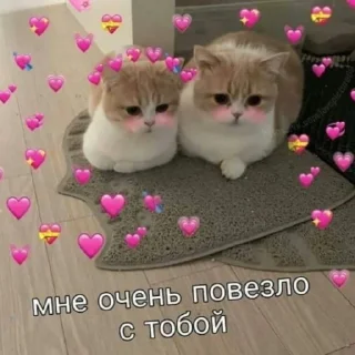 💞