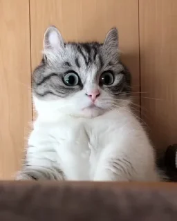 🤭