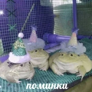 🙂