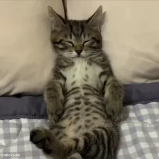 😎