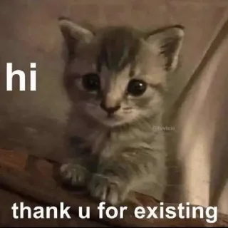 🥰