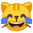 😹