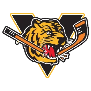 🐯