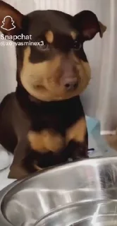🤩
