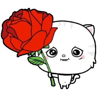 🌹