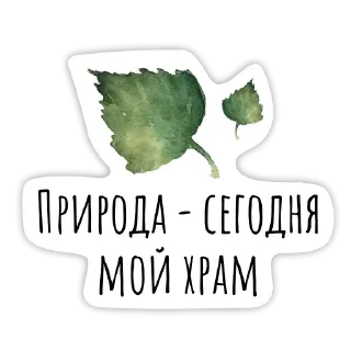 🍃