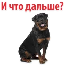 😉