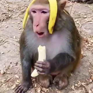 🫠