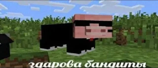 😎