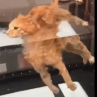 👍