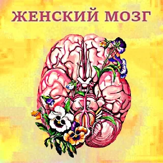 🧠